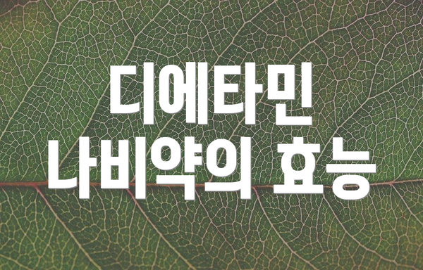 디에타민 나비약의 효능