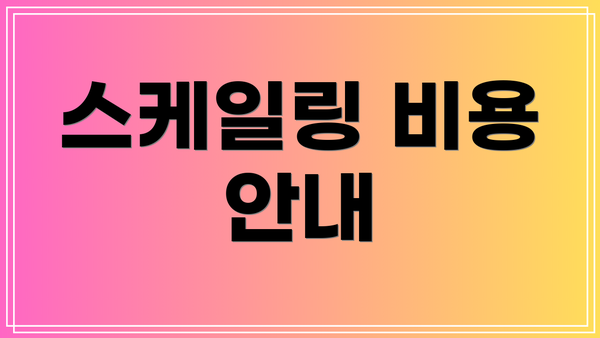 스케일링 비용 안내