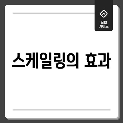 스케일링의 효과