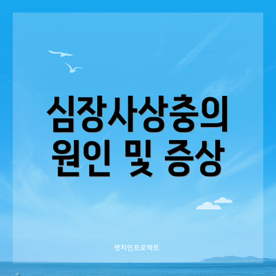 심장사상충의 원인 및 증상