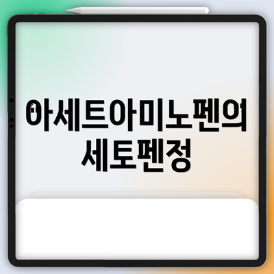 아세트아미노펜의 세토펜정