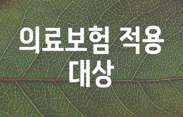 의료보험 적용 대상