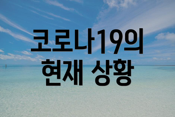 코로나19의 현재 상황