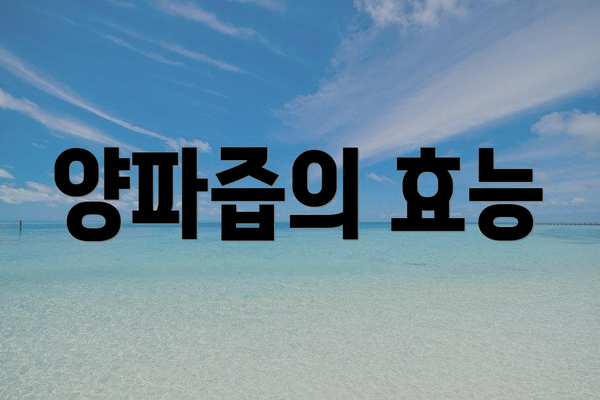 양파즙의 효능