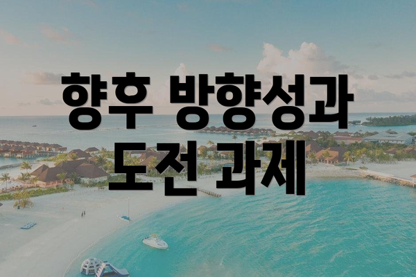 향후 방향성과 도전 과제