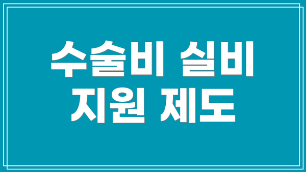 수술비 실비 지원 제도