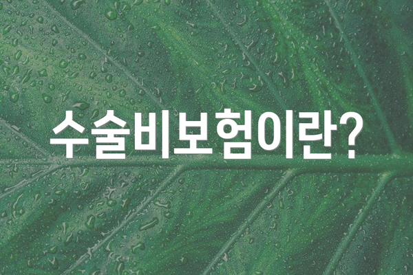 수술비보험이란?