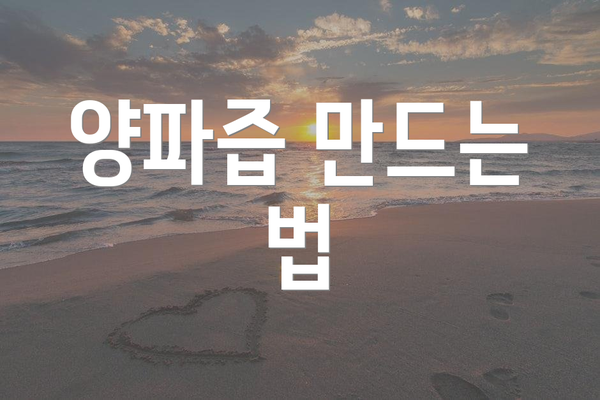 양파즙 만드는 법