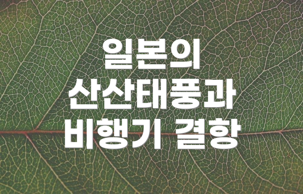 일본의 산산태풍과 비행기 결항