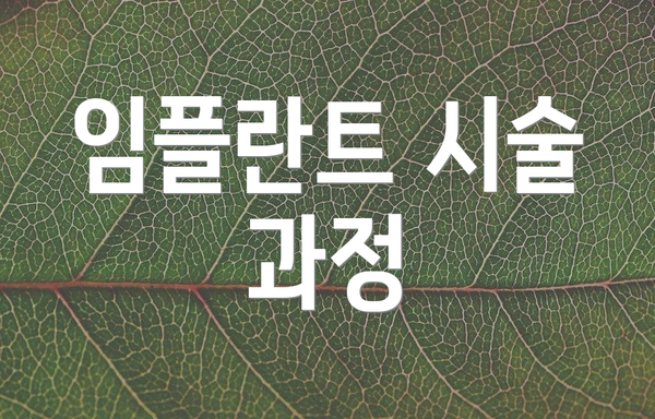 임플란트 시술 과정