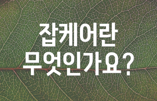 잡케어란 무엇인가요?