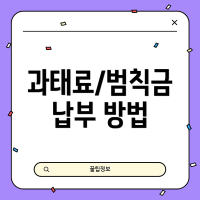 과태료/범칙금 납부 방법