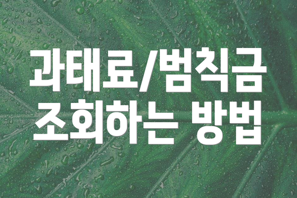 과태료/범칙금 조회하는 방법