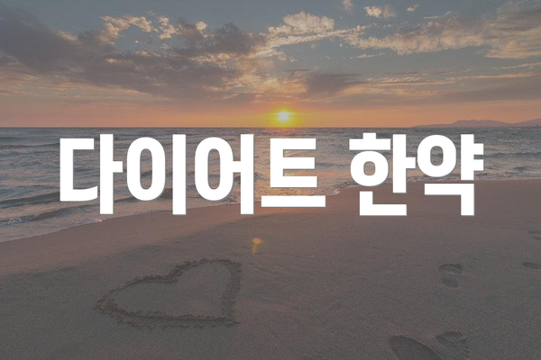 다이어트 한약