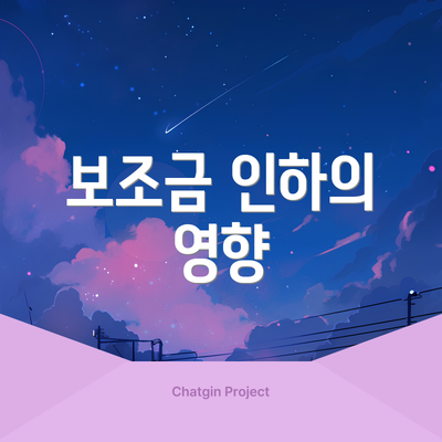 보조금 인하의 영향