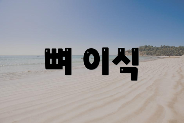 뼈 이식