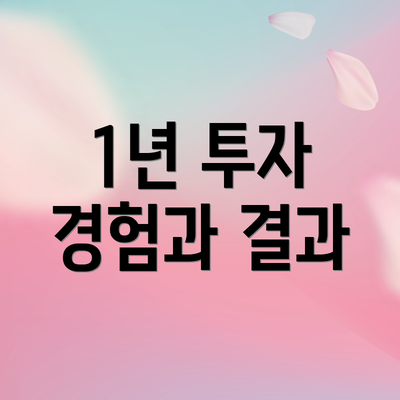 1년 투자 경험과 결과