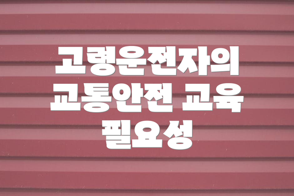 고령운전자의 교통안전 교육 필요성