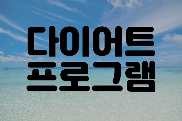 다이어트 프로그램