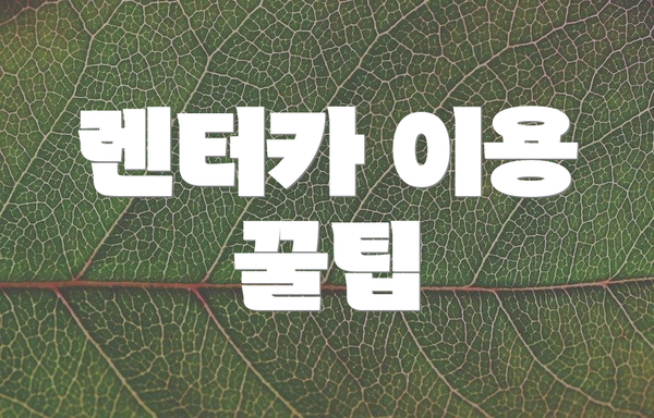 렌터카 이용 꿀팁