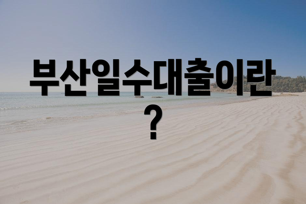 부산일수대출이란?