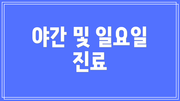 야간 및 일요일 진료