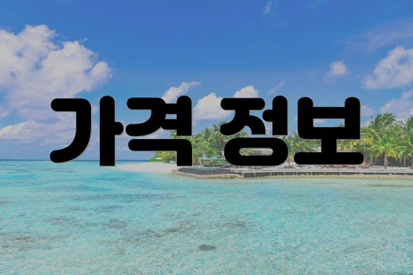 가격 정보