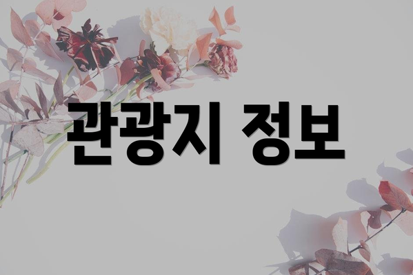관광지 정보