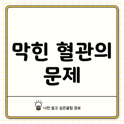 막힌 혈관의 문제