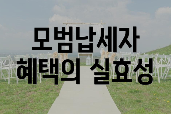 모범납세자 혜택의 실효성