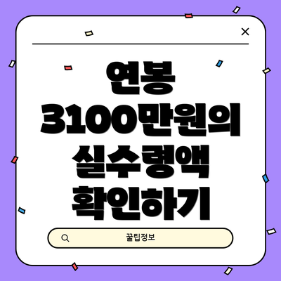 연봉 3100만원의 실수령액 확인하기