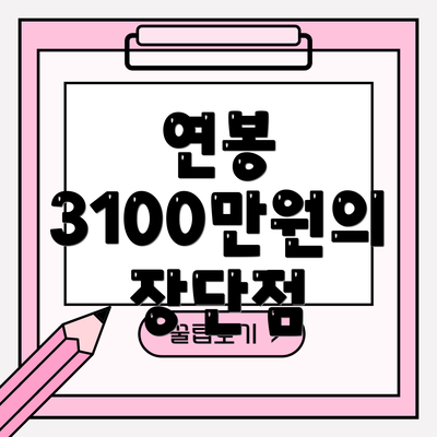 연봉 3100만원의 장단점