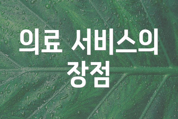 의료 서비스의 장점