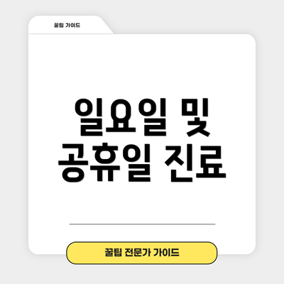 일요일 및 공휴일 진료