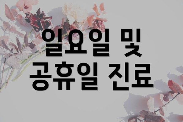 일요일 및 공휴일 진료