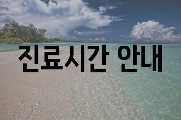 진료시간 안내