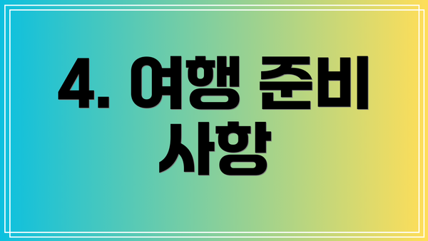 4. 여행 준비 사항
