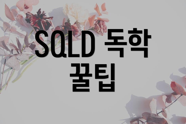 SQLD 독학 꿀팁