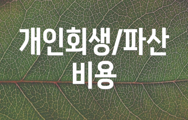 개인회생/파산 비용