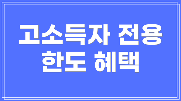 고소득자 전용 한도 혜택