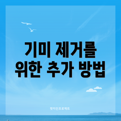 기미 제거를 위한 추가 방법