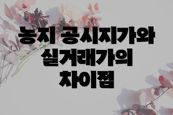 농지 공시지가와 실거래가의 차이점