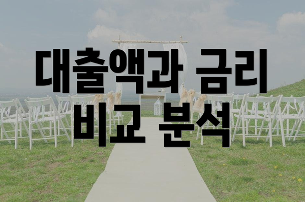 대출액과 금리 비교 분석