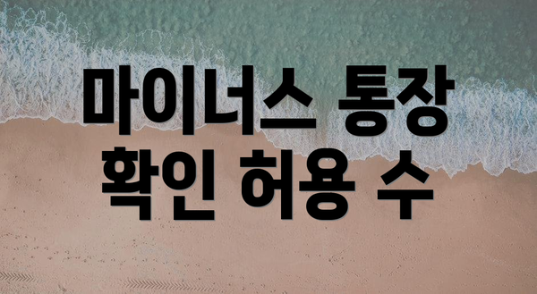 마이너스 통장 확인 허용 수