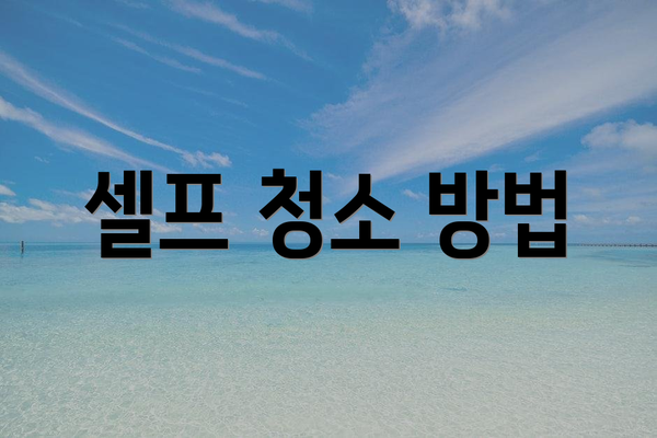 셀프 청소 방법