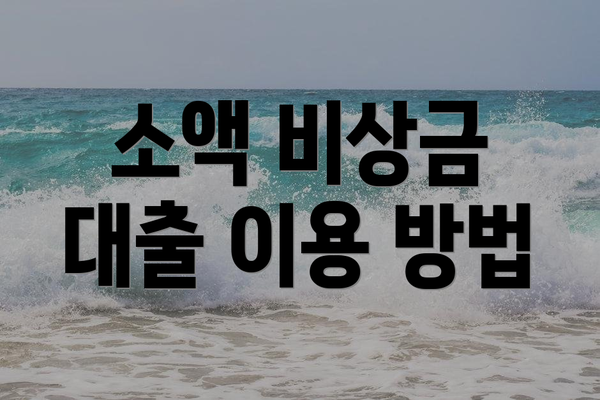 소액 비상금 대출 이용 방법