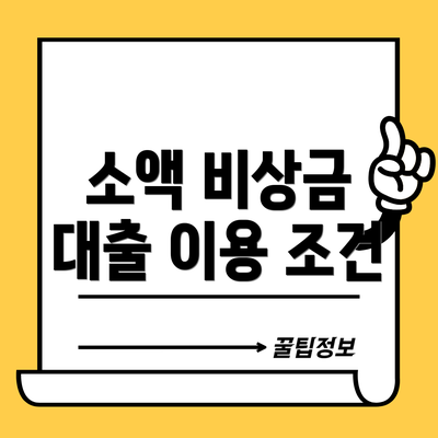 소액 비상금 대출 이용 조건