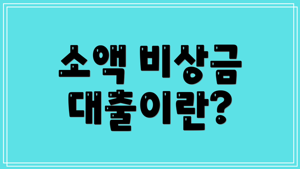 소액 비상금 대출이란?