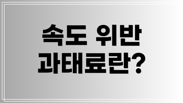 속도 위반 과태료란?