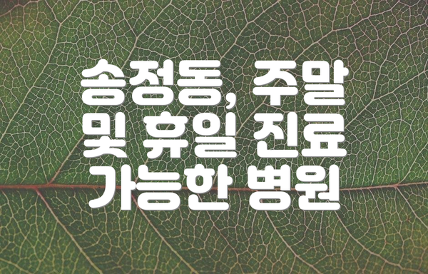 송정동, 주말 및 휴일 진료 가능한 병원